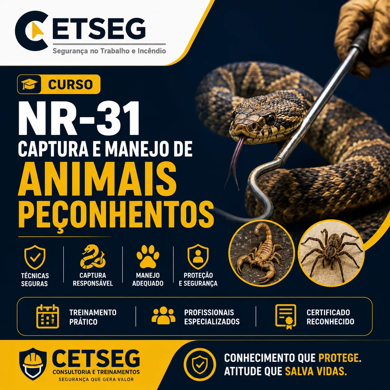 NR-31 CAPTURA E MANEJO DE ANIMAIS PEÇONHENTOS
